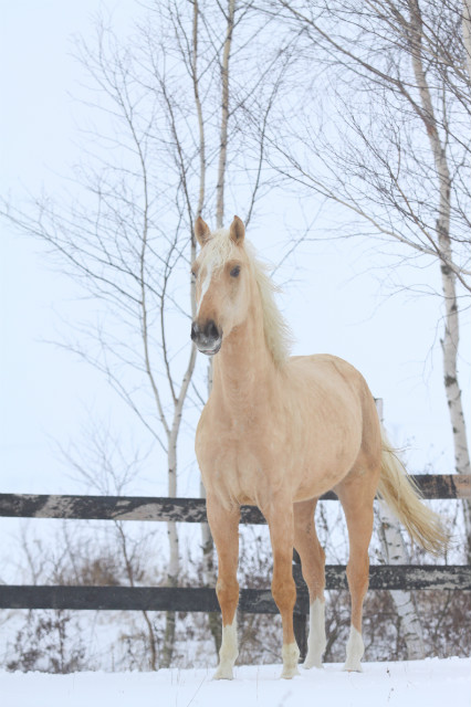 Ontario