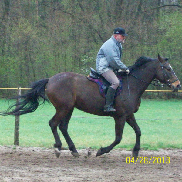 WIGOREK