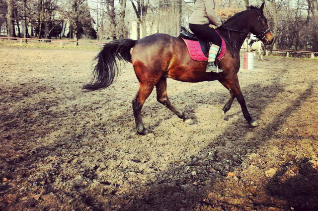 supcioo!