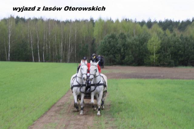 Wpis stajniaotorowo