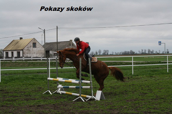 Skoki na Otwarciu sezonu