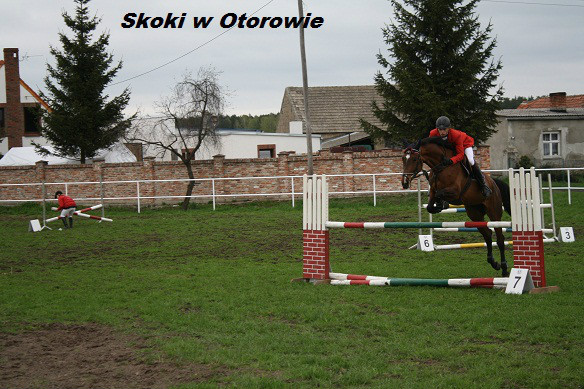 Skoki