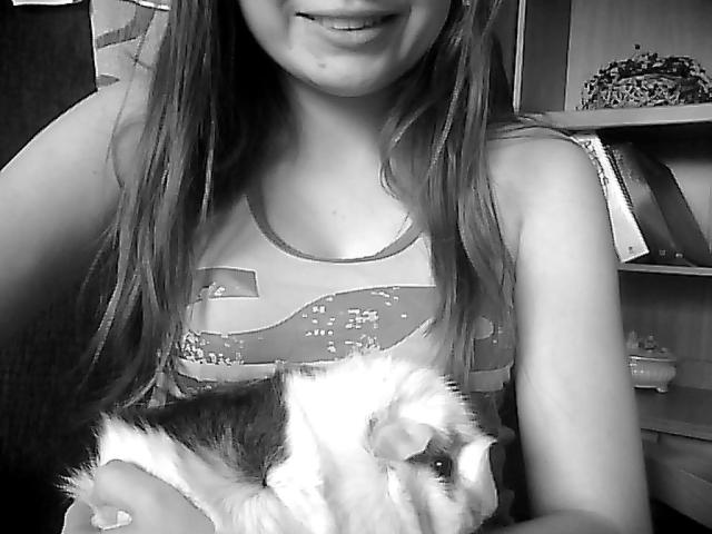 Wpis dolix