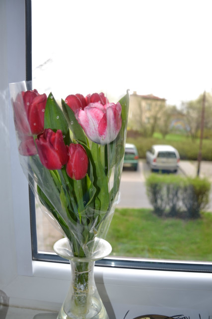 29.04