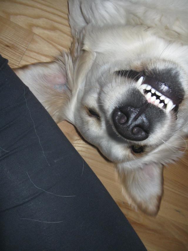 Lenka :D