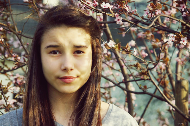 hello spring.