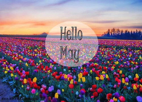 hello