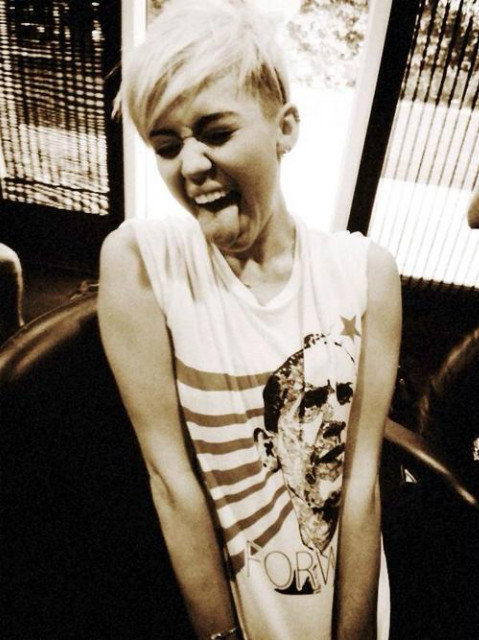 Wpis mileycrus