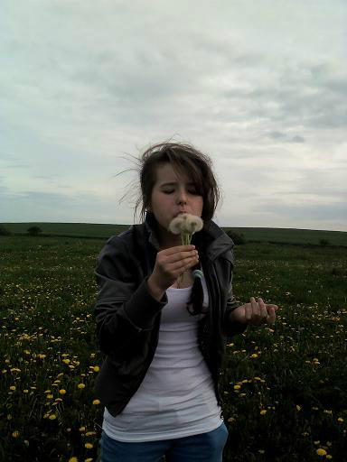 Dmuchawce latawce wiatr:)
