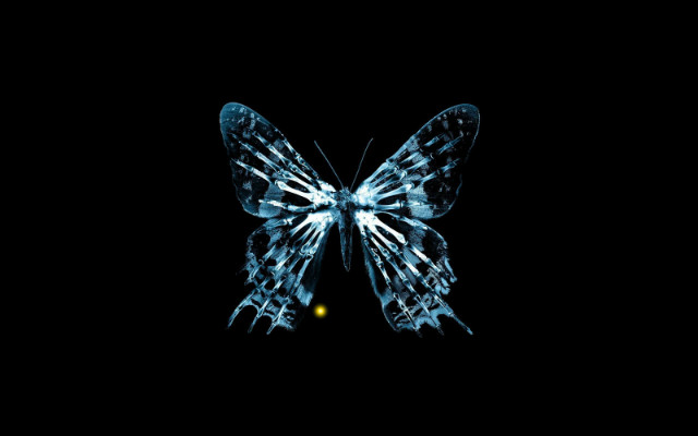 Butterfly Effect (ofc I)