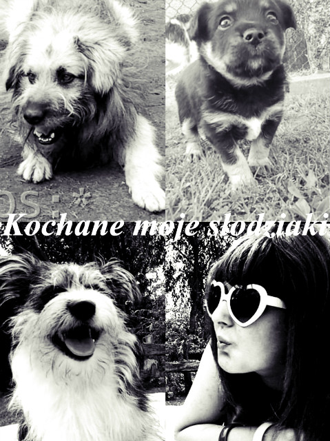 Kocham wass 