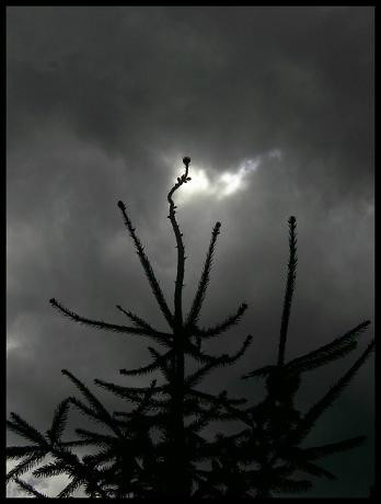 59.