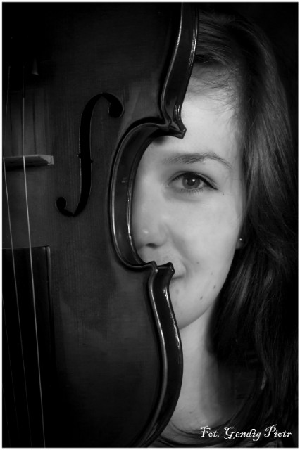 forgotten violin 