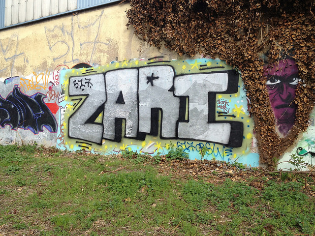 Wpis zari