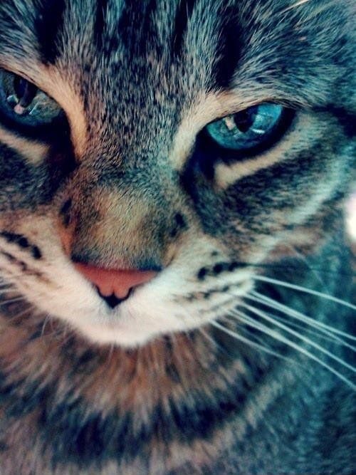 :*
