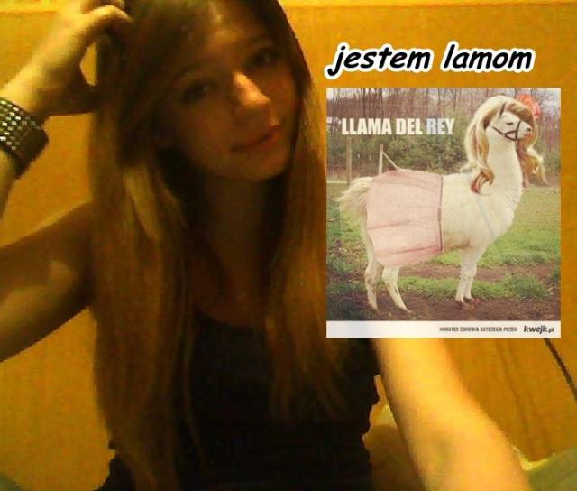 JESTEM LAMOM ! 