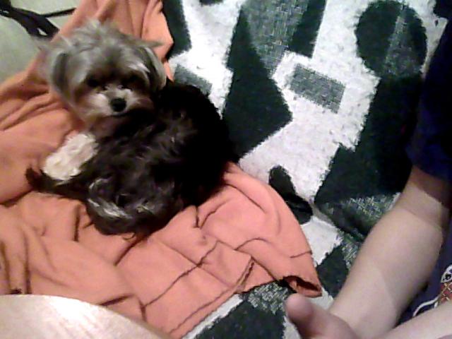 Kocham ;d