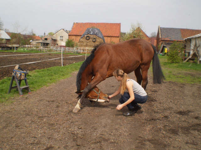 klaniamy sie :)