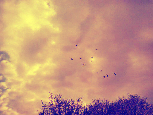give me love.