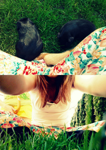 Znowu wolne! ;D