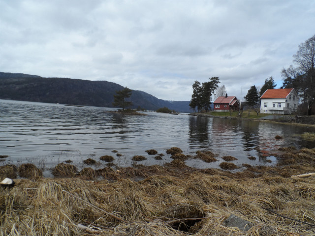 Norwegia