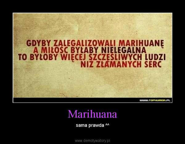 Wpis plastelinka
