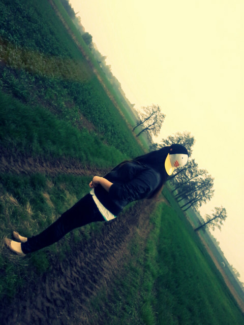 Wpis kaammx3