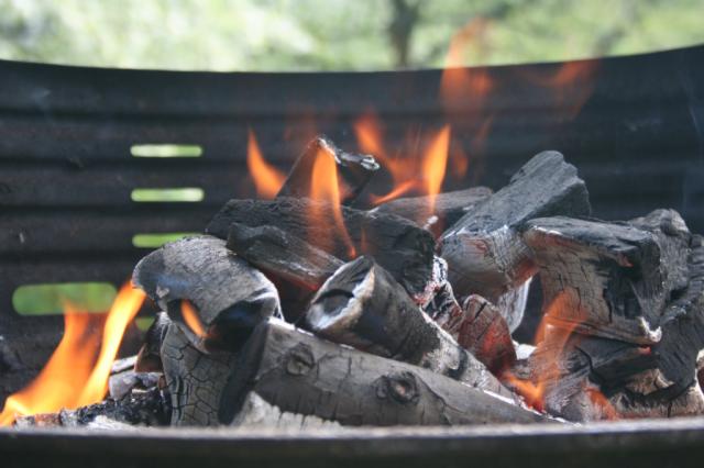 Grill 