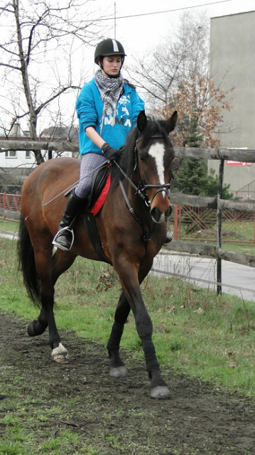 Edzio