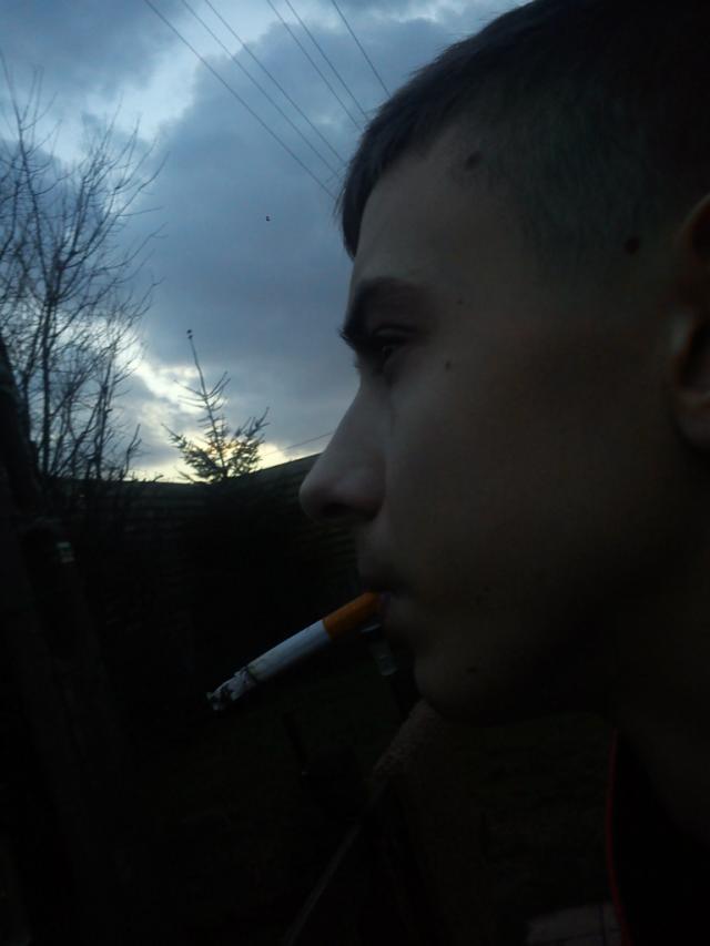 Wpis chrzaszczak