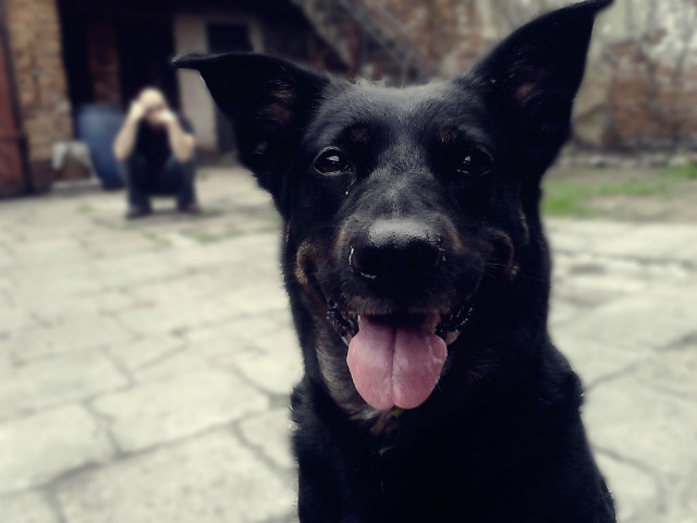 Wiosenna sesja :)