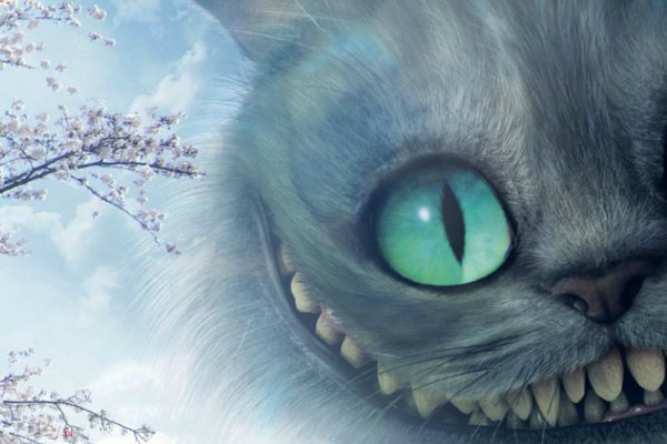 Do cats eat bats?