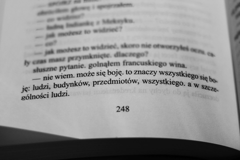 Dziennik, strona szsta 