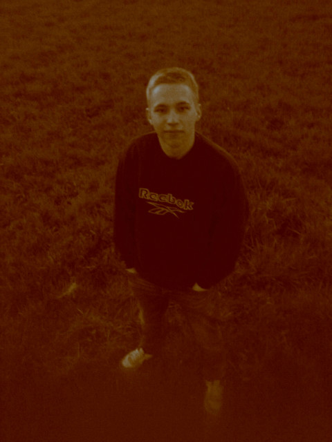 Wpis wilam