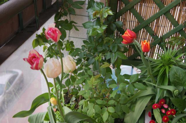 Wiosenny balkon (*_*)