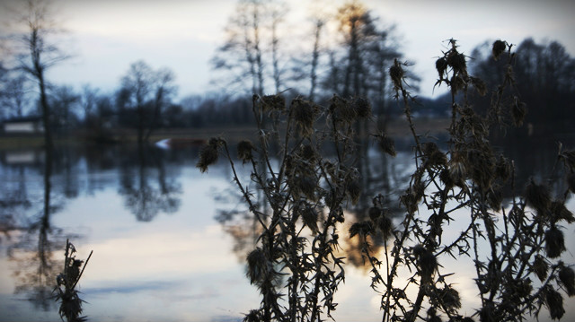 Wpis pierdolnijsmajlakotku