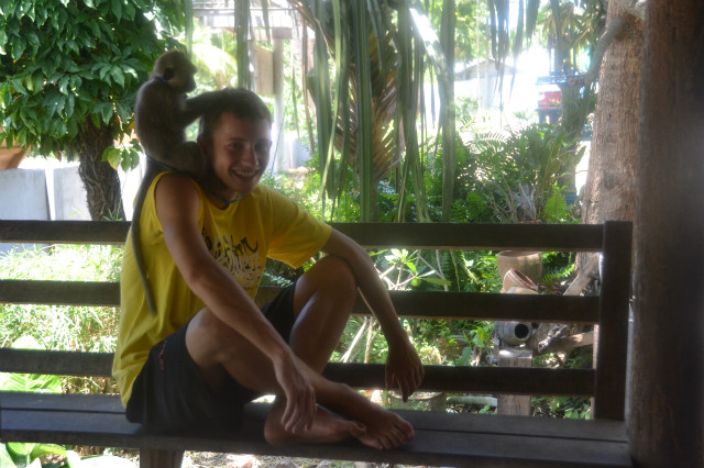 mapy.