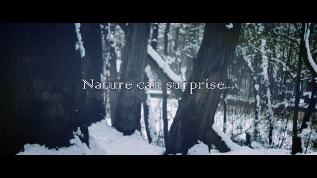 Nature can surprise screen