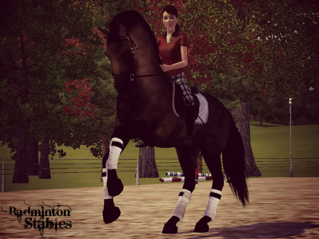 Wpis badmintonstables