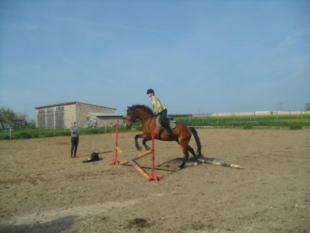 Skok ;))