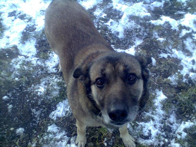 Oczkaa :)