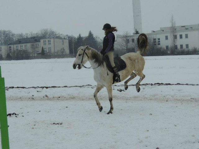 Taki tam sobie bryk 