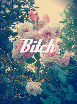 Bitch. xD
