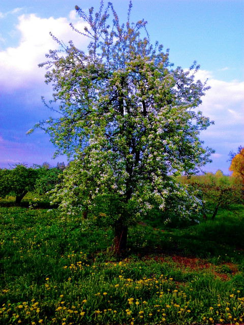 Wpis sylwia2196