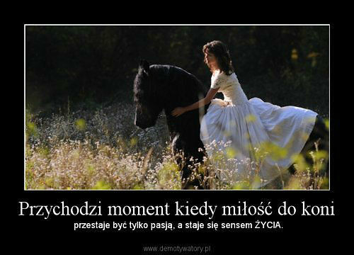 Wpis agata16144