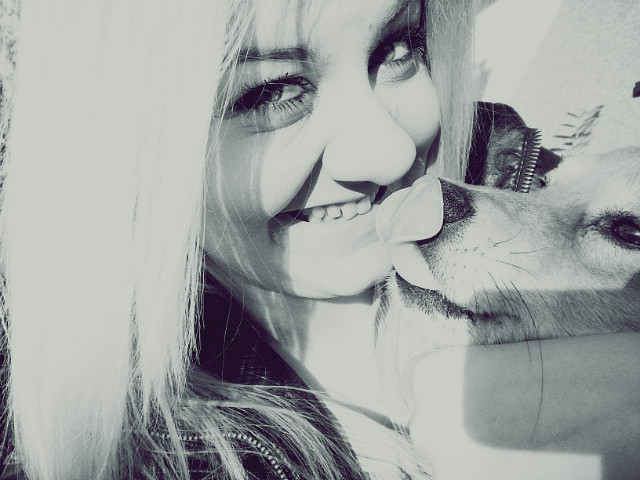 Wpis anyloove