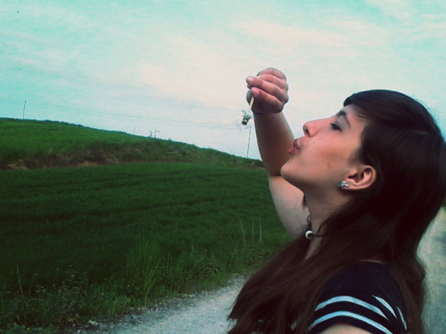 Wpis syllwuusx3