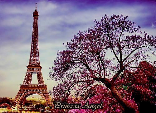 Bonjour!