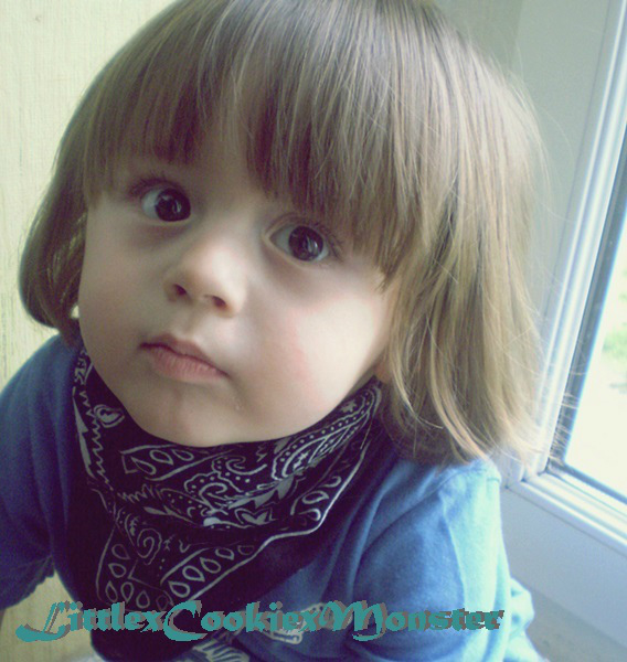 Wpis littlexcookiexmonster