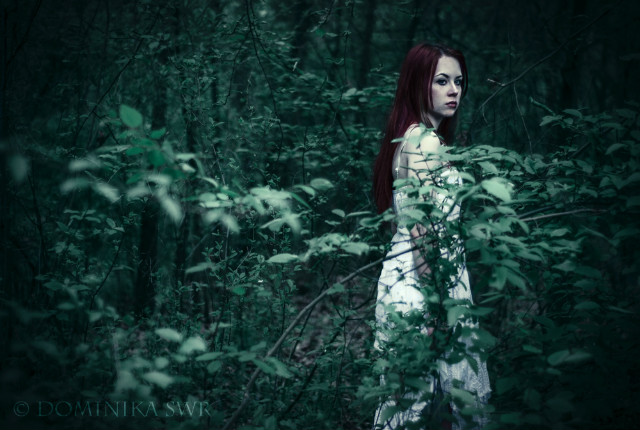 See into the dark
